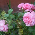 Hotel Garden & Capvern-les-bains 3*