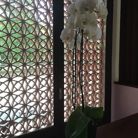 Garden & Capvern-les-bains